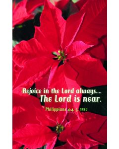 Rejoice In The Lord Church Bulletin 806 (pkg of 100)