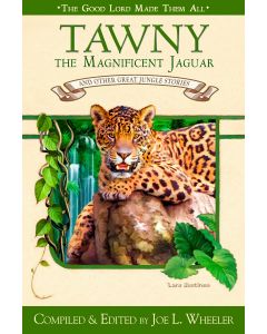 Tawny: The Magnificent Jaguar