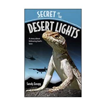 Secret Of The Desert Lights