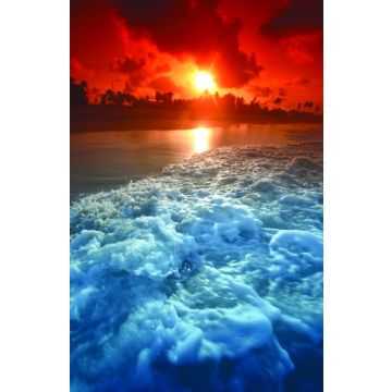 Adventist Book Center Online - Adventist Books, Music and Media