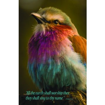 Adventist Book Center Online - Adventist Books, Music and Media