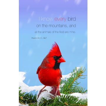Adventist Book Center Online - Adventist Books, Music and Media