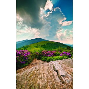 Adventist Book Center Online - Adventist Books, Music and Media