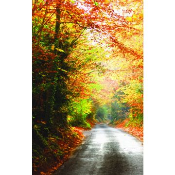 Adventist Book Center Online - Adventist Books, Music and Media