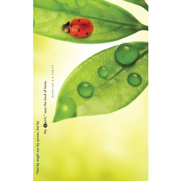 Adventist Book Center Online - Adventist Books, Music and Media