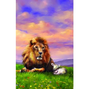 Adventist Book Center Online - Adventist Books, Music and Media