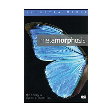 Metamorphosis
