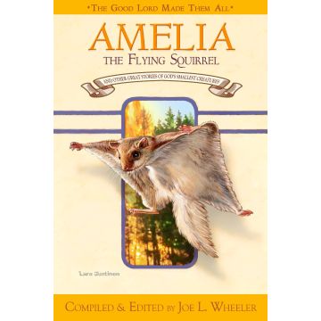 Adventist Book Center Online - Adventist Books, Music and Media