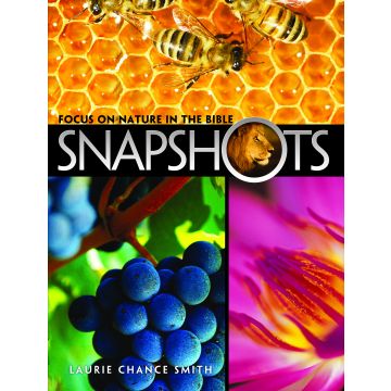 Adventist Book Center Online - Adventist Books, Music and Media