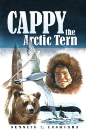 Cappy the Arctic Tern