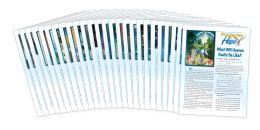 Prophecies of Hope, Bible Lessons set of 26