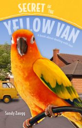 Secret of the Yellow Van