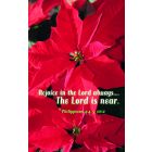 Rejoice In The Lord Church Bulletin 806 (pkg of 100)