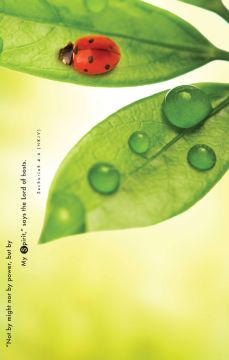 Adventist Book Center Online - Adventist Books, Music and Media