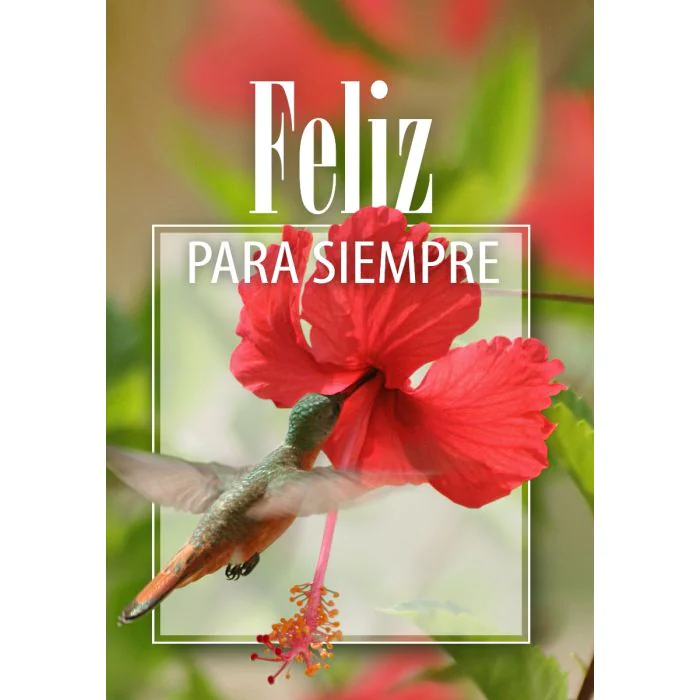 Feliz para siempre (Español) Feliz para siempre (Español)