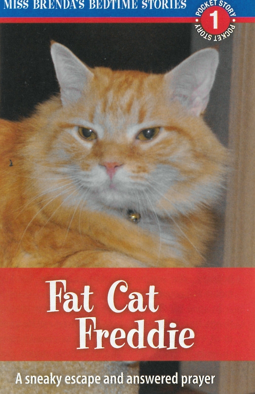 Miss Brenda S Bedtime Stories Pocket Tract Fat Cat Freddie