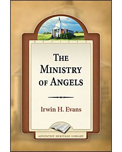 The Ministry of Angels